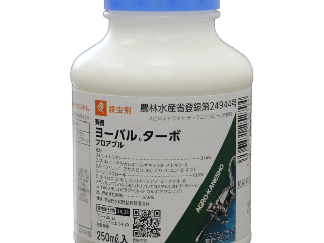 2025.5 ヨーバルターボ２５０㎖　実物